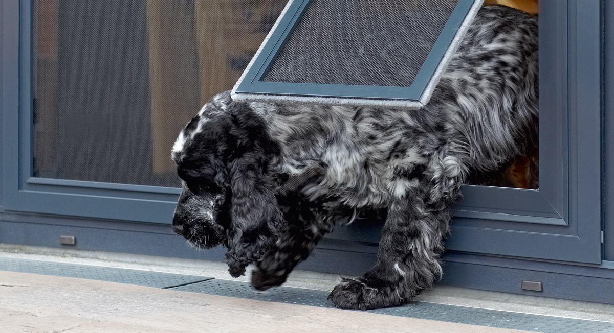 Teba_ISS_Insektenschutz_Haustierklappe_Hund